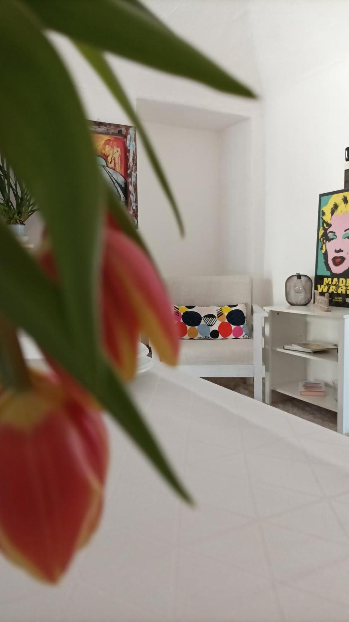 Quick Home - Interno 45 Biella Habitación foto